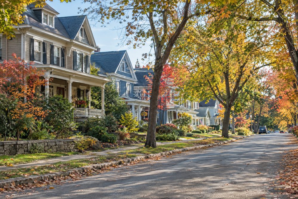 A leafy Capital Region residential street
